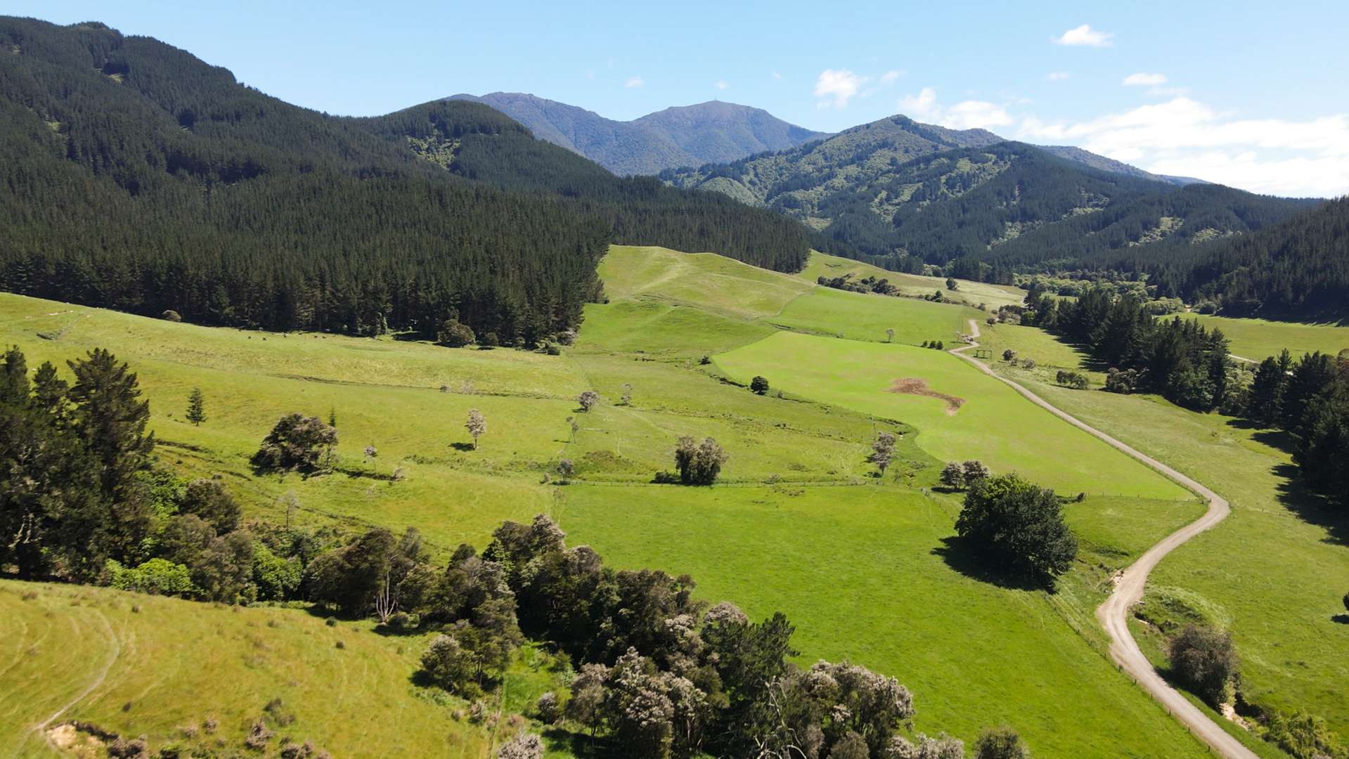 1642 Motueka Valley West Bank Road (Upstream) Motueka Valley Tasman Rural Property For