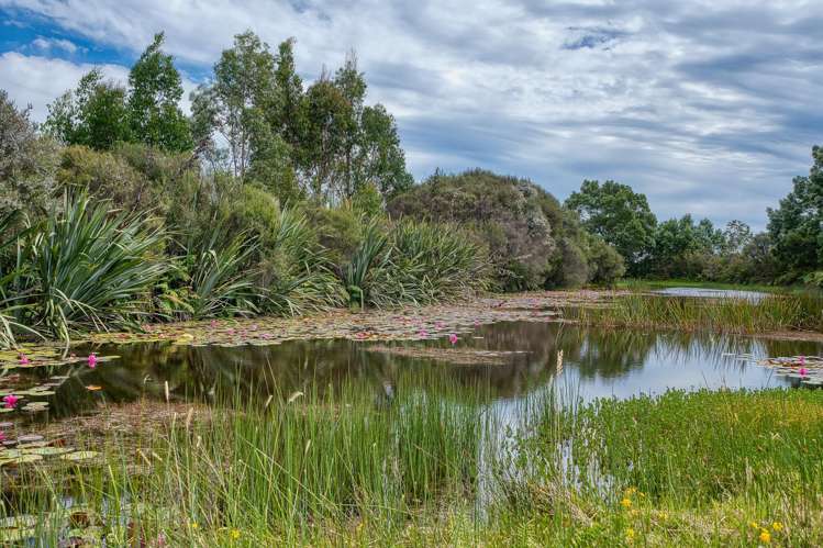 210 Keogans Road Rd2, Hokitika_40