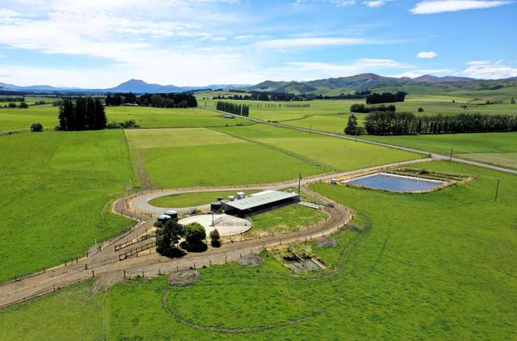 236 Walker Road Lumsden Surrounds_2