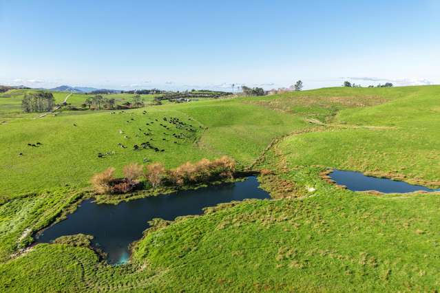 Garbolino and Tara Road Mangawhai_3