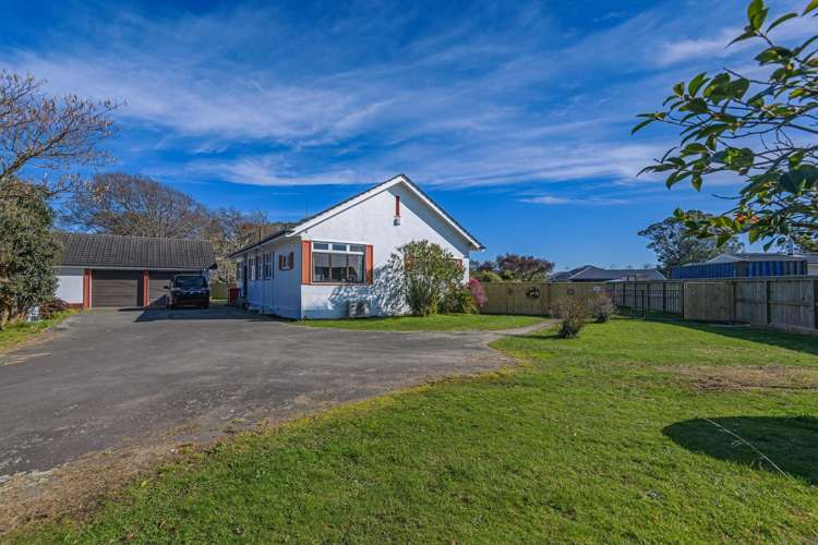 33 Daniell Street Bulls_19