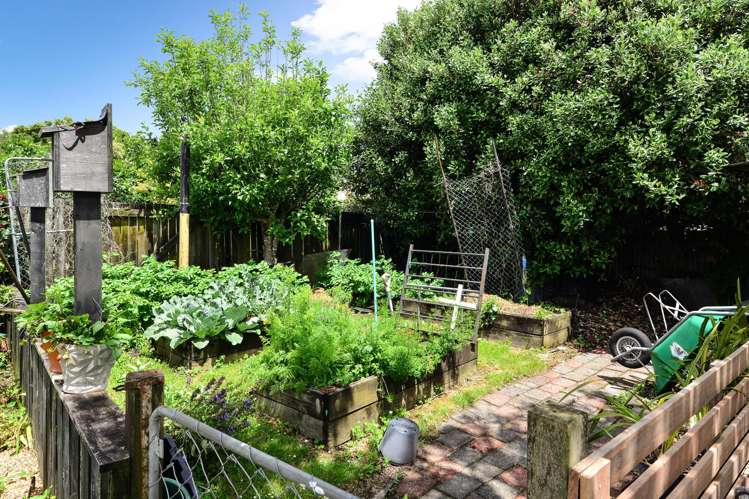 21 Galway Avenue Hamilton East_8