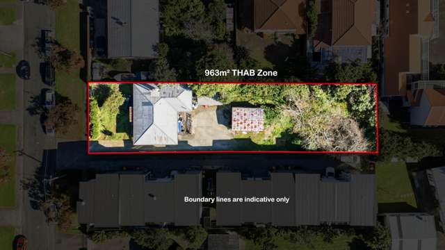 963sqm of Prime THAB Zone Goldmine!