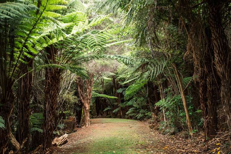 183 Rangitane Road Kerikeri_17