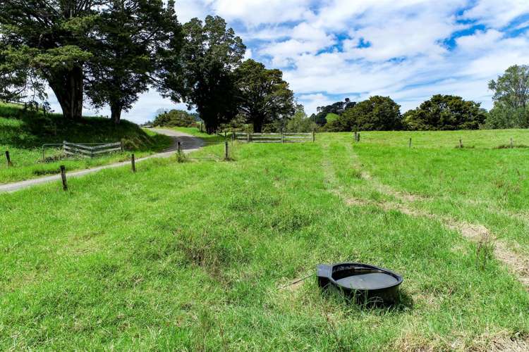 83 Paparoa Station Road Paparoa_9