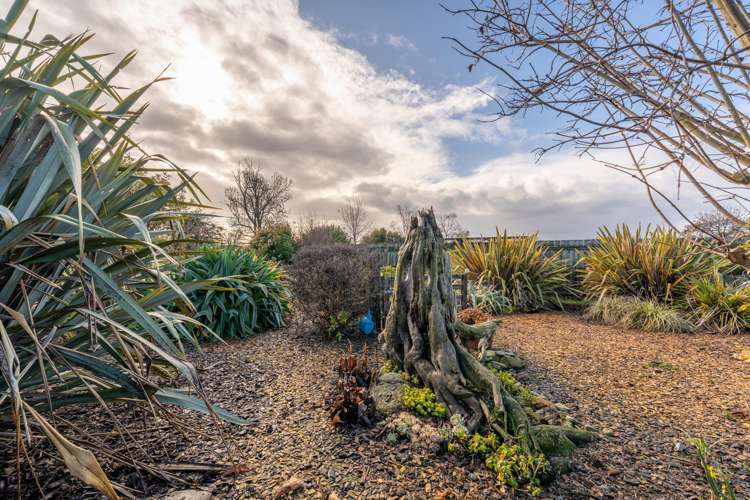 28 Appleby Street Hampden_26