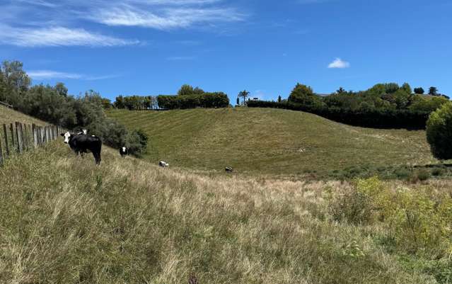 165 Breckenridge Road Puketapu_1