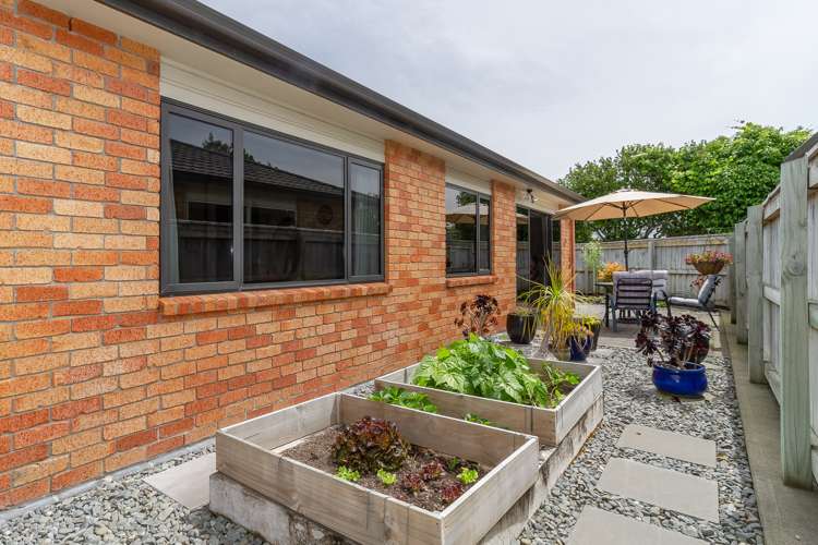 23a White Street Taradale_9
