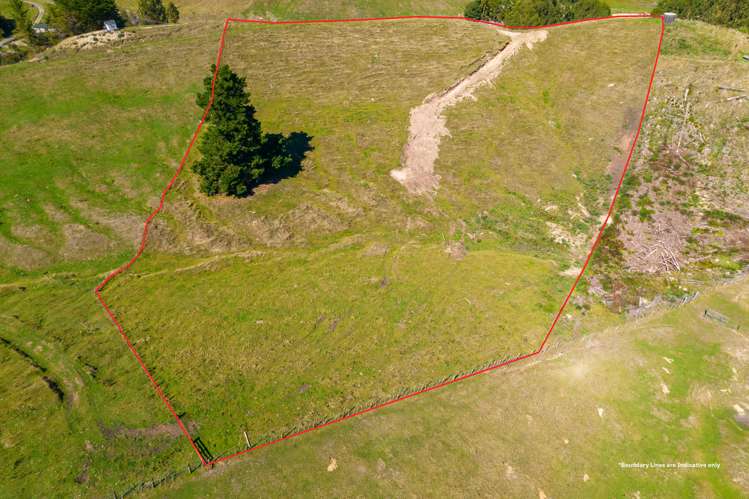 202 Whangamata Road Kinloch_16