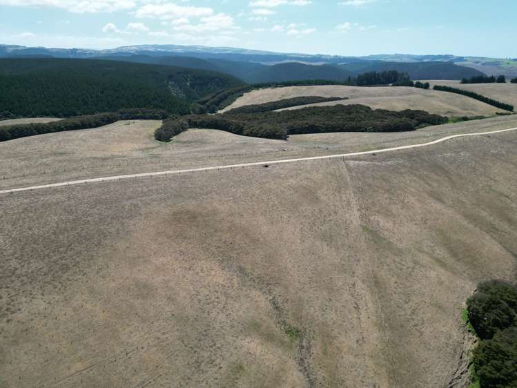 Toko Mouth Road Toko Mouth_20