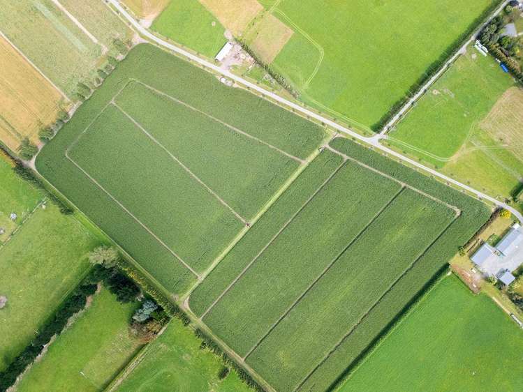 349 Wakanui Road Ashburton_1