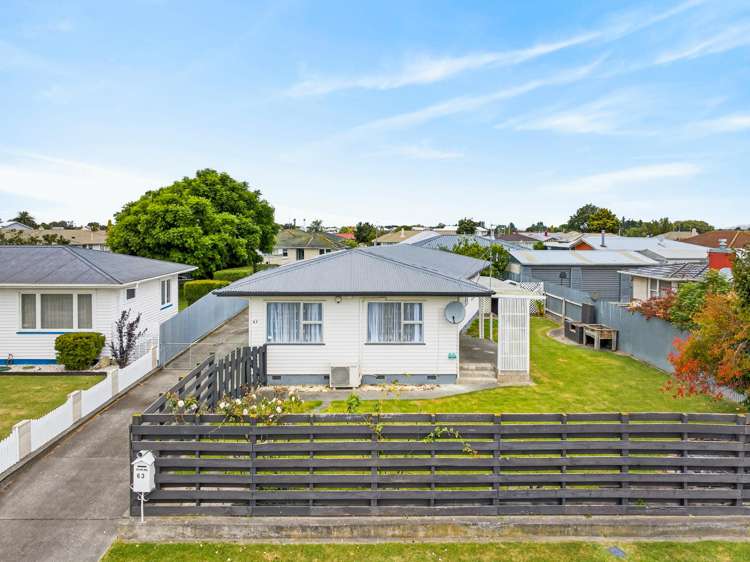 63 Alexander Avenue Onekawa_12