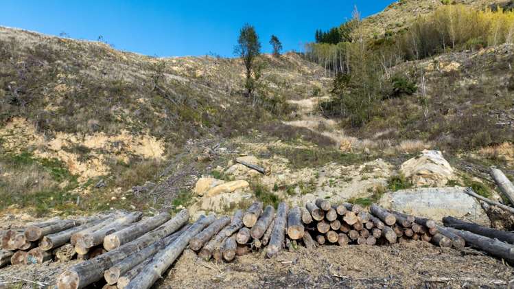 Four Rivers Highway Murchison_7