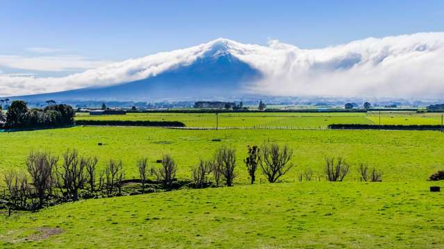 1541 South Road (SH 45) Manaia_3