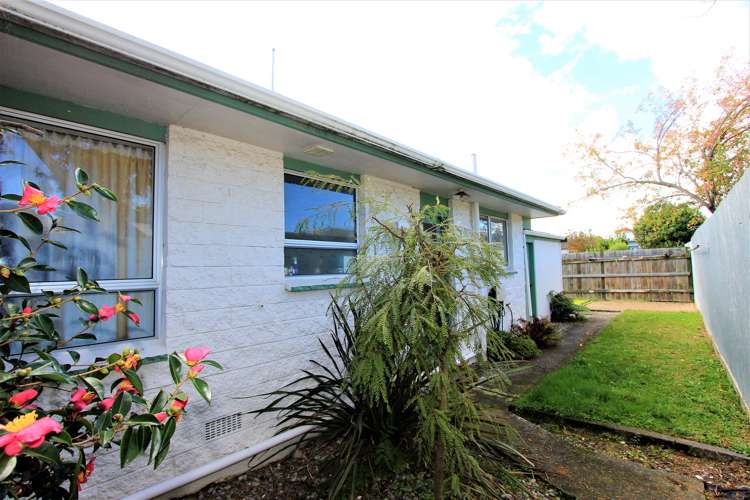 205b Weld Street Witherlea_7