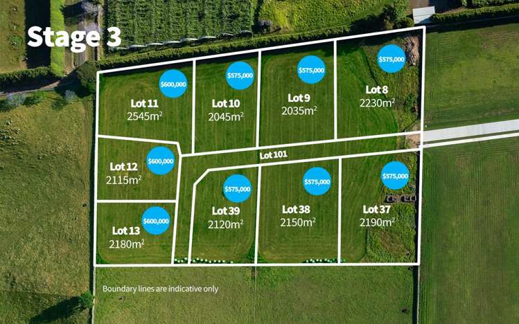 58 Austin Road Maunu_9