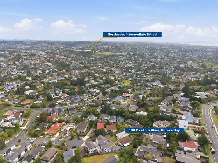 16B Dianthus Place Browns Bay_26