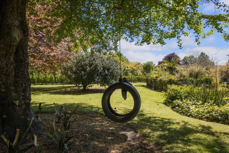 13B Astelia Drive Omokoroa_19