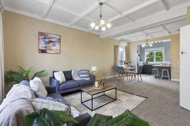 188 Brooklands Road Vogeltown_1