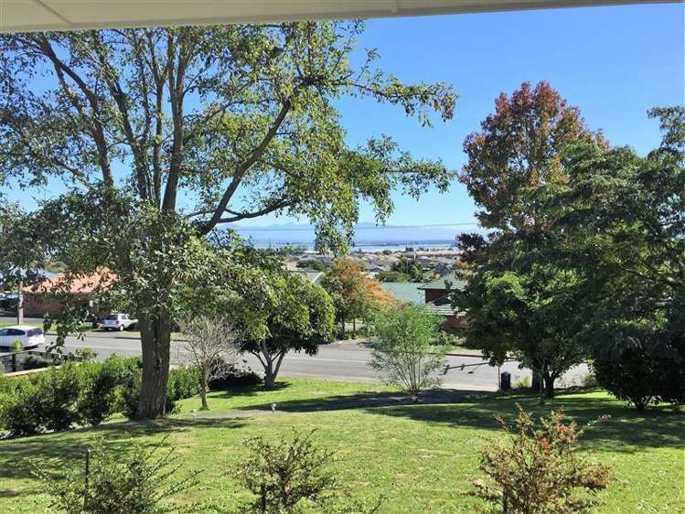 395 Suffolk Road Stoke_0