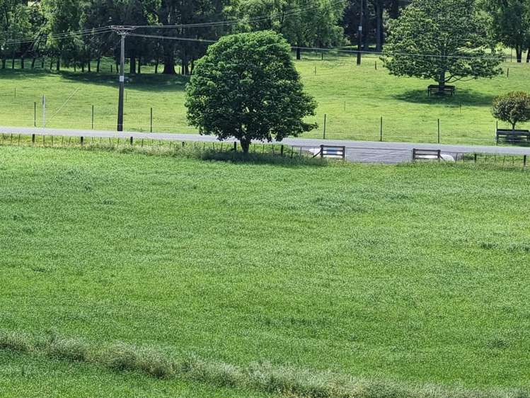 2/2 Hogg Road Onepu_7