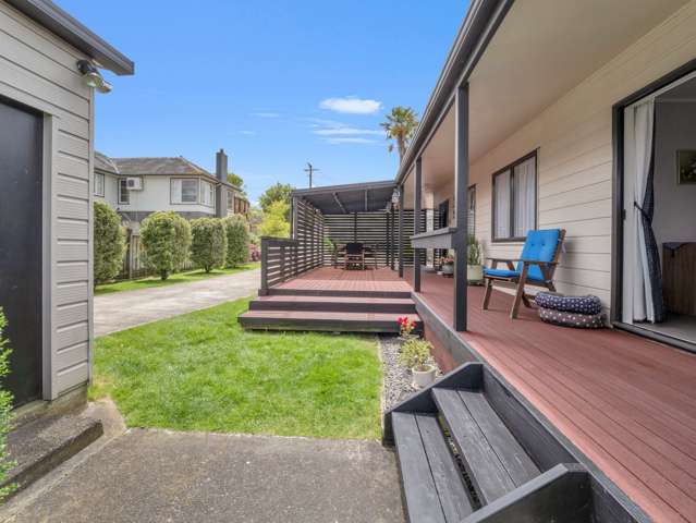 21a chester street Levin_3