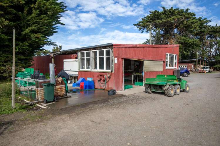 1905 Christchurch Akaroa Road Motukarara_19