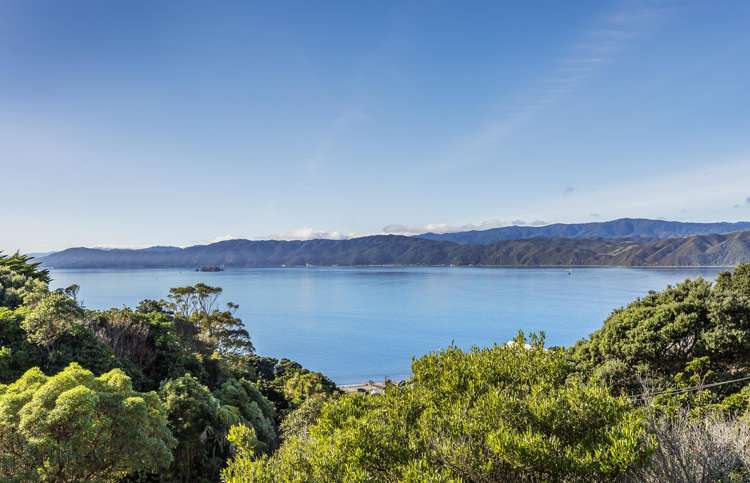 10a Fettes Crescent Seatoun_13