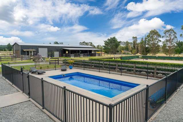 341 White Road Broadlands Forest_2