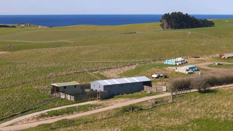 137 McLeods Road Palmerston_24