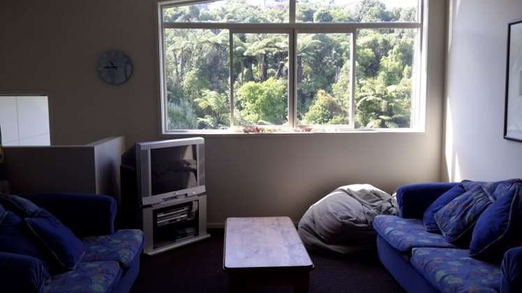 211 Onemana Drive Onemana_10