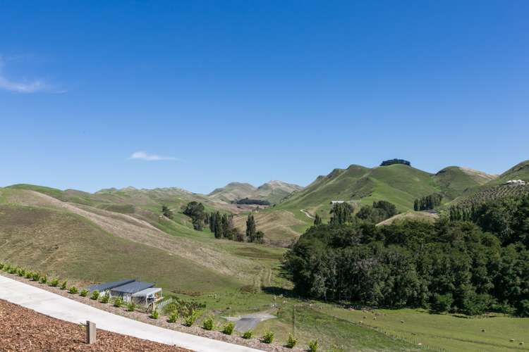 101 Aintree Road Havelock North_21