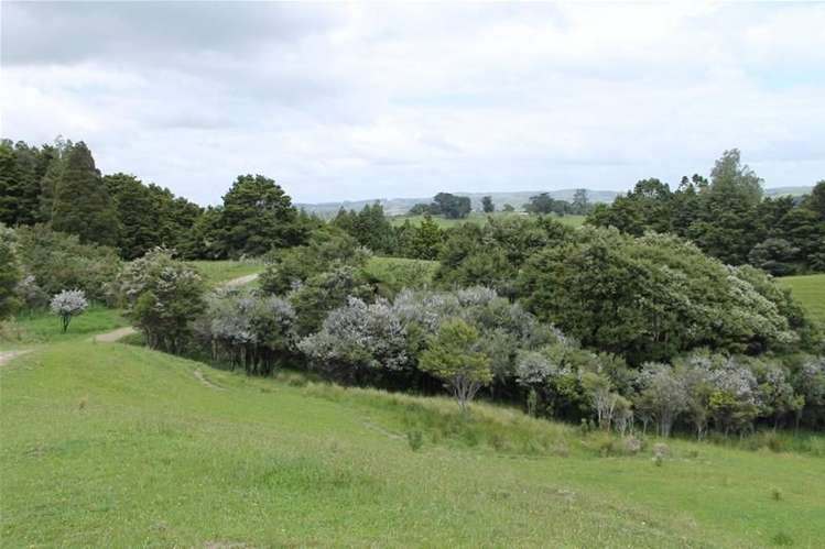 243c Mountain Road Maungaturoto_19