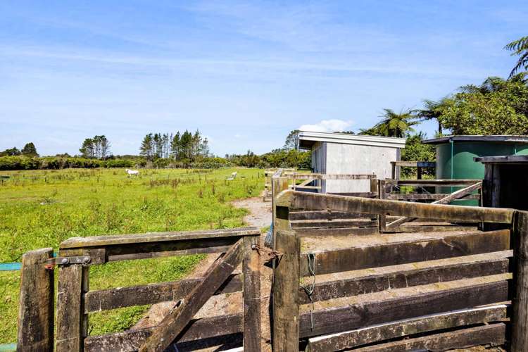 1955 Egmont Road Kaimiro_17