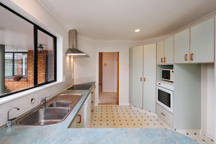 48a Albert Street Palmerston North Central_7