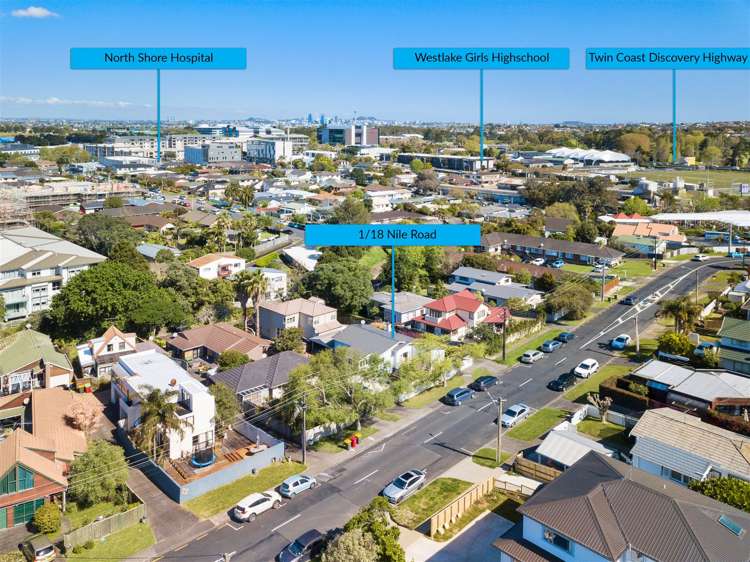 1/18 Nile Road Milford_18