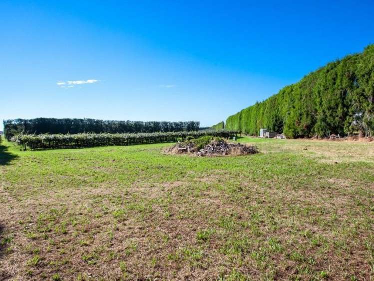 33 Burt Road Matata_13