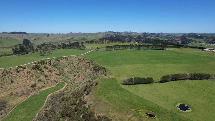 2611 Pouto Road Te Kopuru_10