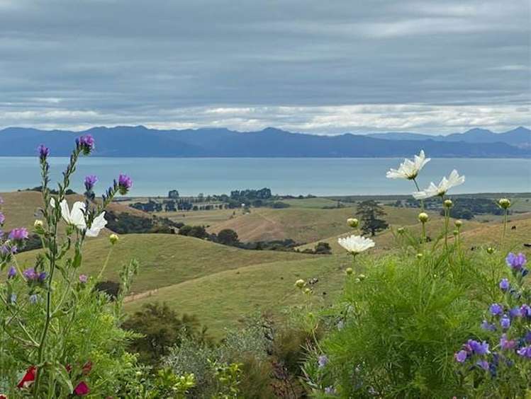 123 Rataroa Road Miranda_5