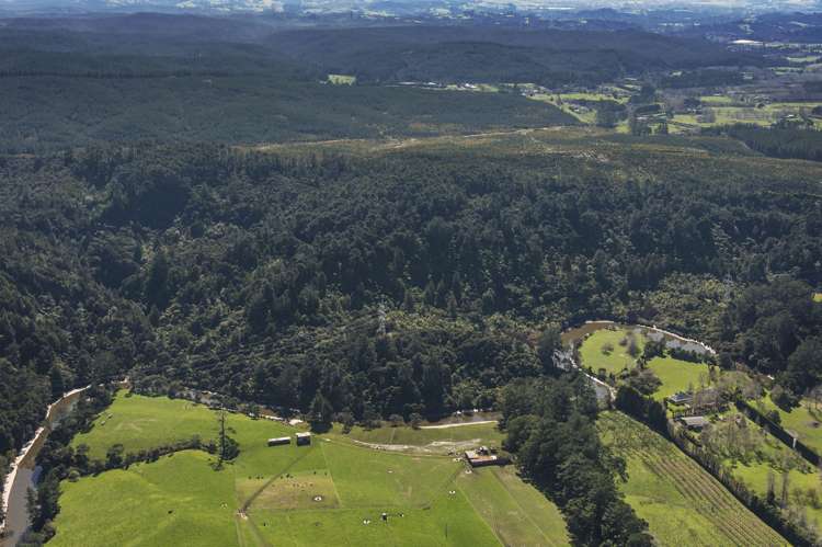 Cobblers Lane Riverhead_15