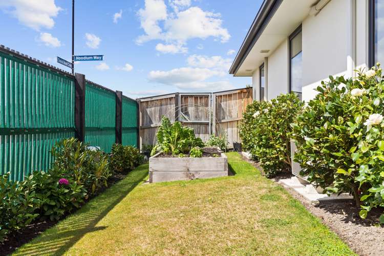 14 Noodlum Way Halswell_14