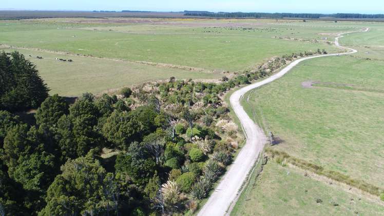 235 Waituna Lagoon Road Wyndham Surrounds_4