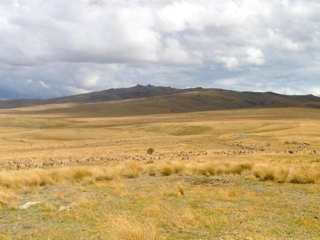 1109 Little Valley Road Alexandra_1