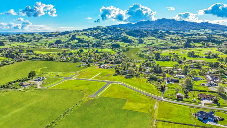 Collinson Street Pirongia_3