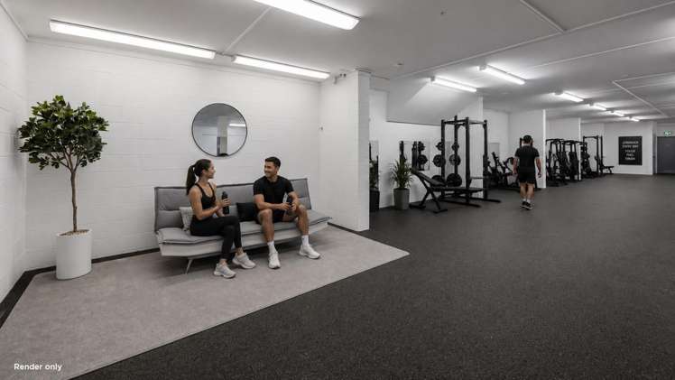 73 Elizabeth Street Tauranga Central_7
