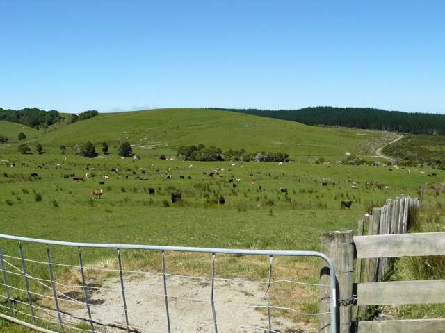 658 Lake Road Kaikohe_3