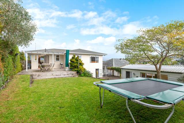 57 Ellis Avenue Mount Roskill_4