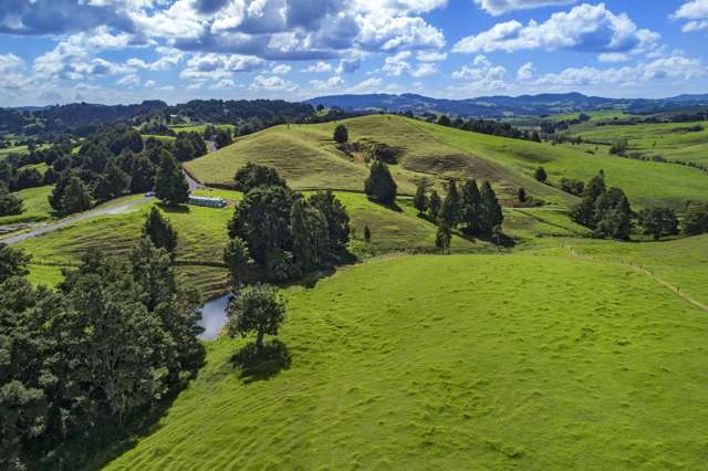 Lot 1 Oetzman Rd Hikurangi Rd2_2