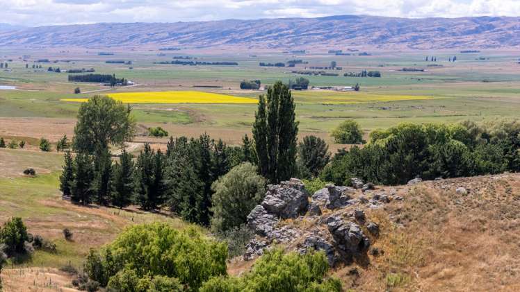 135 McIntosh Road Omakau_33