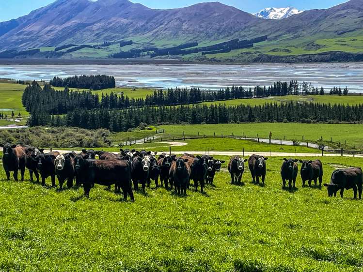1551 Double Hill Run Road Rakaia Gorge_14